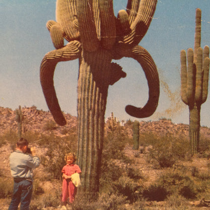 Vintage 1961 Souvenir Color Postcard Jim Sexton Photo Desert Giants Children at Base of Giant Saguaro Cactus Arizona
