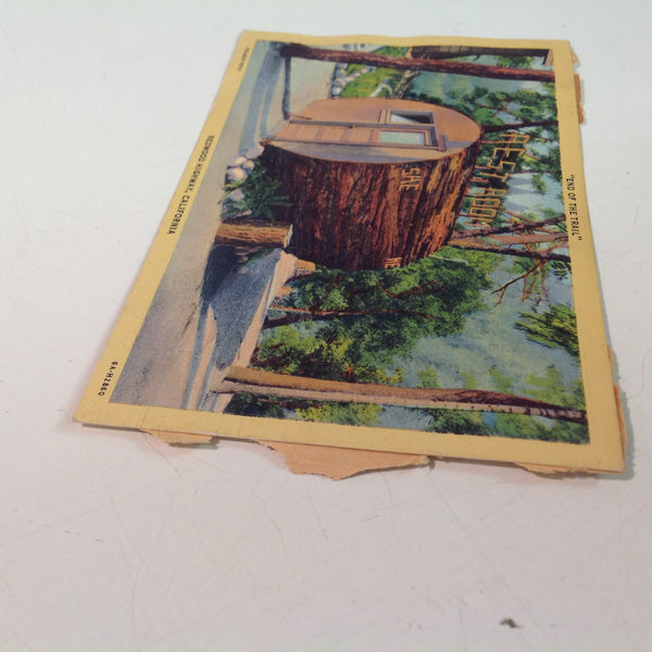 Vintage Mid Century Curteich Art Colortone Fulmer Foto Postcard End of the Trail Log Restroom Redwood Highway California