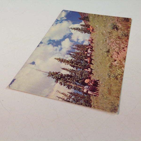 Vintage Mid Century Color Souvenir H S Crocker Postcard Horseback Trip in the Rockies Colorado