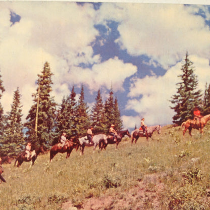 Vintage Mid Century Color Souvenir H S Crocker Postcard Horseback Trip in the Rockies Colorado