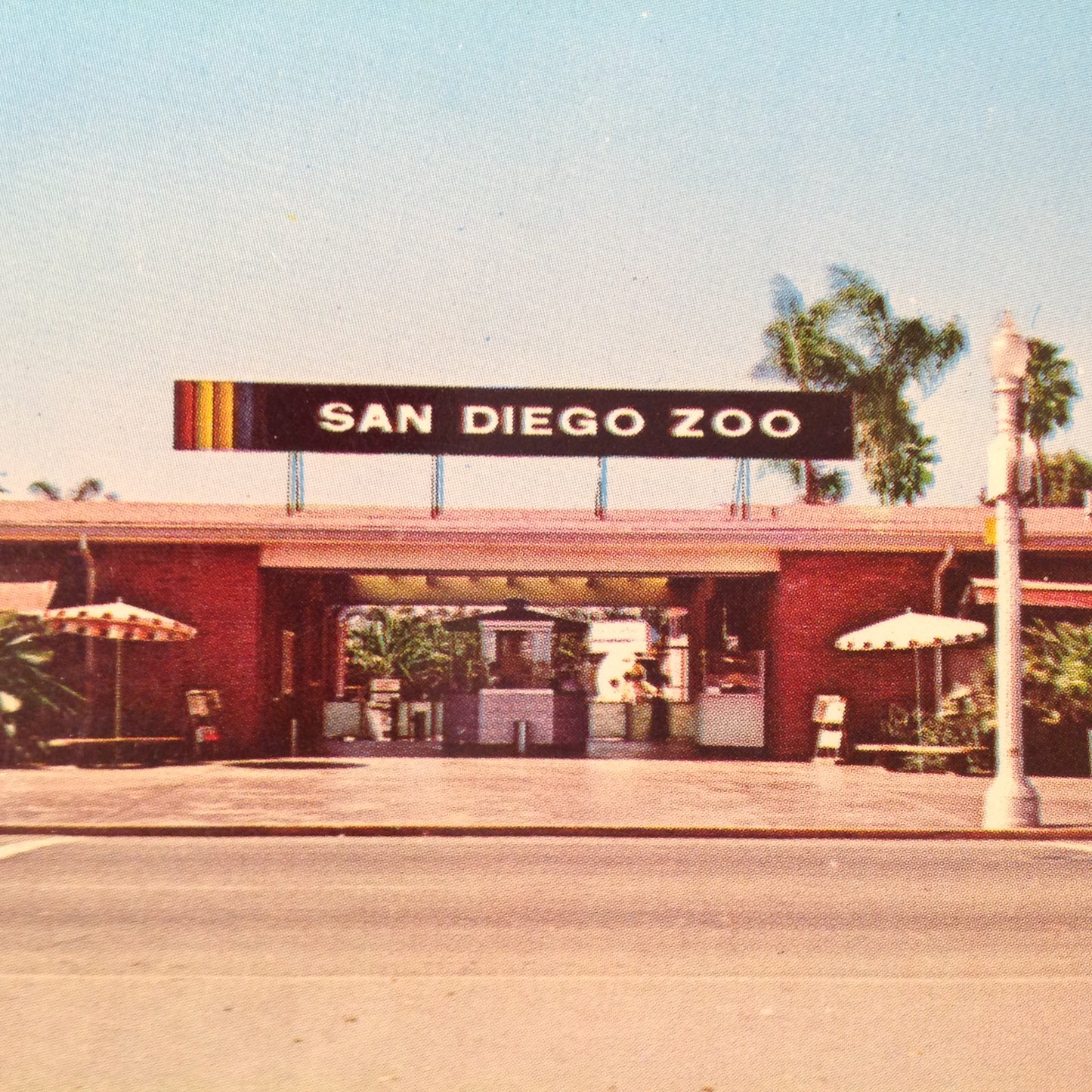 Vintage Color Series from the San Diego Zoo Souvenir Color Postcard Bldg 2 Entrance to the Zoo San Diego California