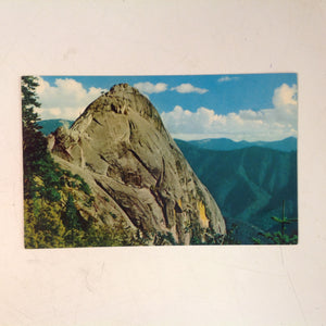 Vintage H S Crocker Mirro-Krome Sequoia Natural Color Souvenir Postcard High Sierra Moro Rock Sequoia National Park Sacramento California