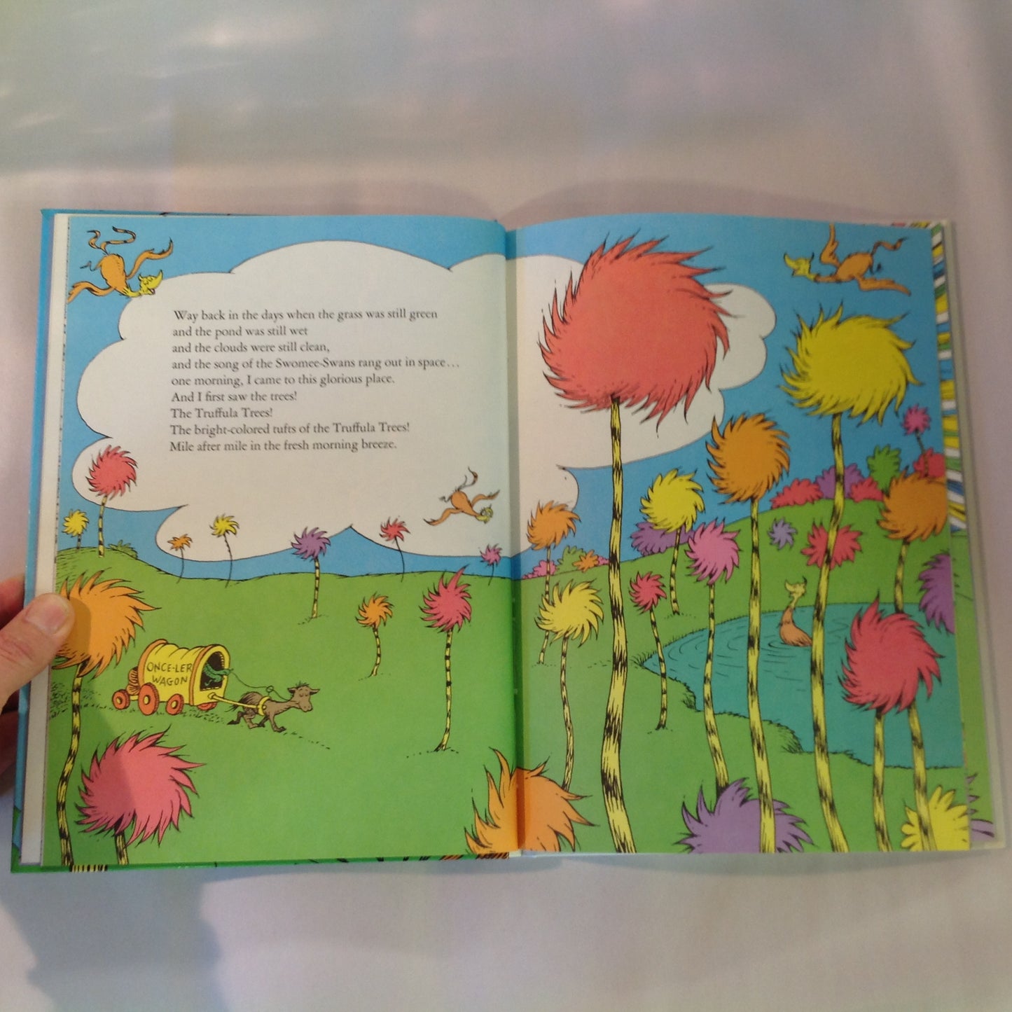 Vintage 1971 Hardcover Dr Seuss THE LORAX