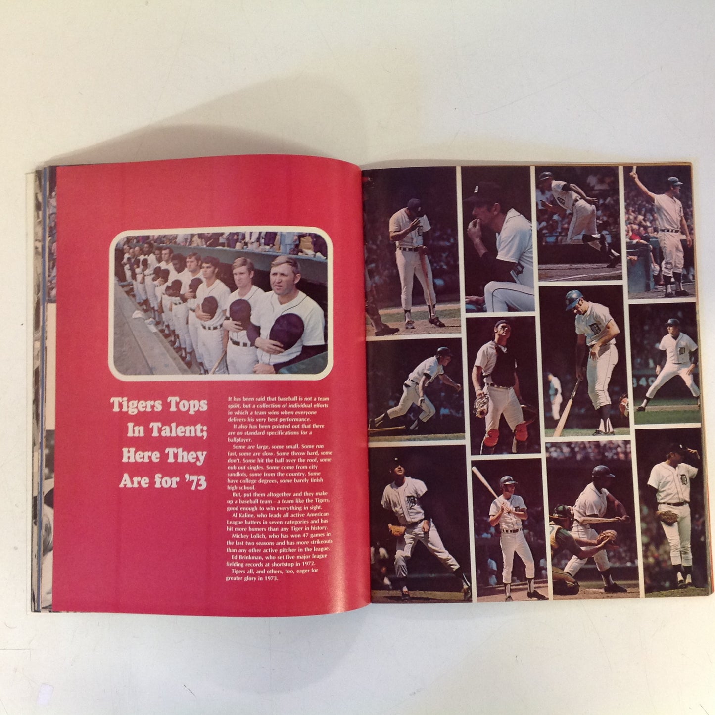 Vintage Official 1973 Detroit Tigers Yearbook