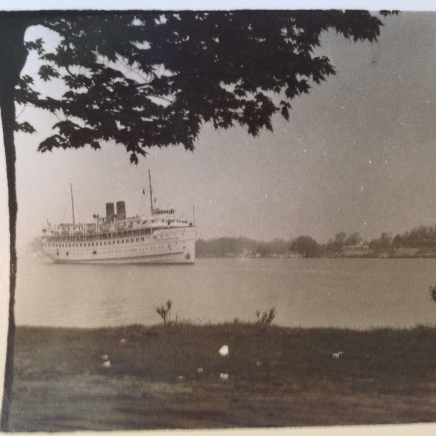 Vintage Mid Century B&W Photo SS South American Cruise Exterior Shot Ship Sailing Seen from Shore